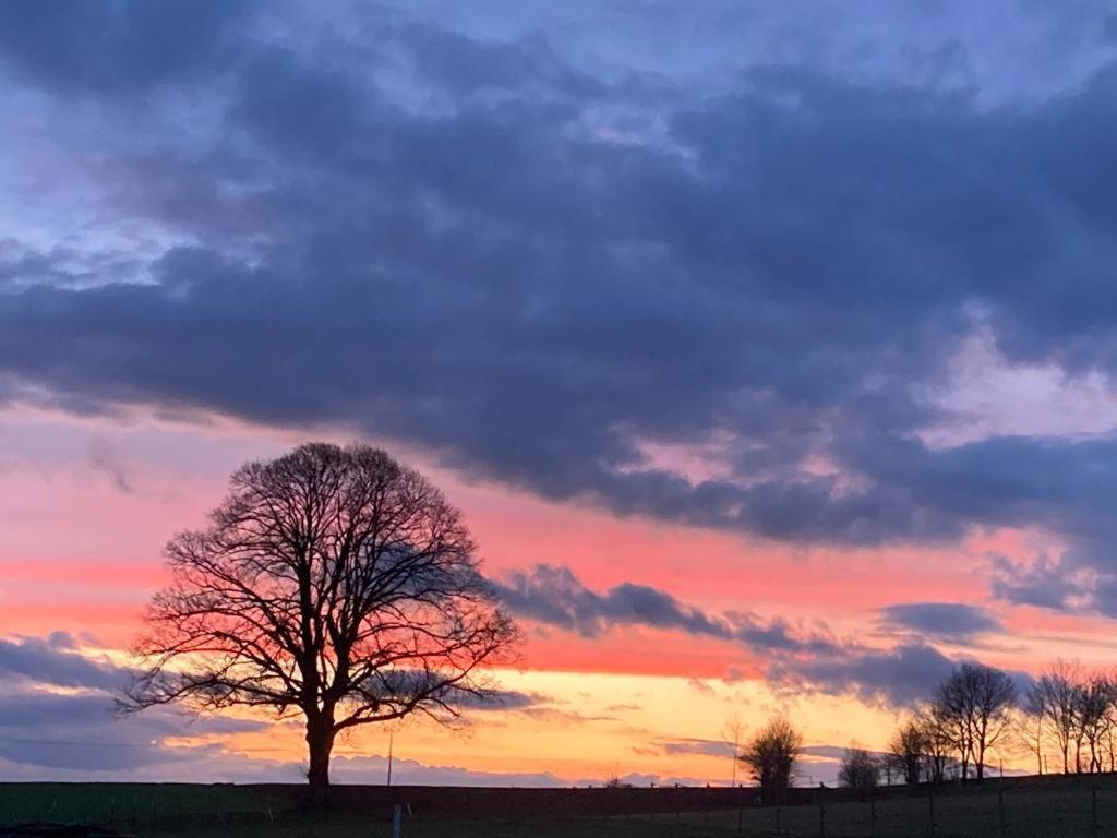 Glashaus Sternblick, Schlafen Unterm Sternenhimmel Neustadt am Kulm Esterno foto